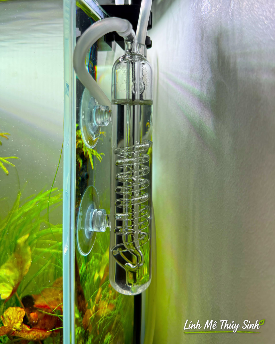 Đếm giọt CO2 xoắn ốc gắn thành bể thuỷ sinh