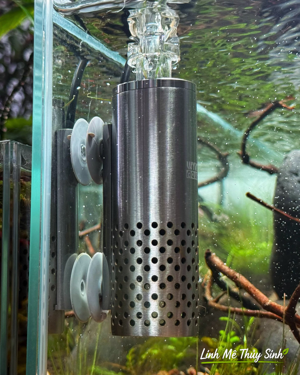 Lọc váng inox trong bể thuỷ sinh