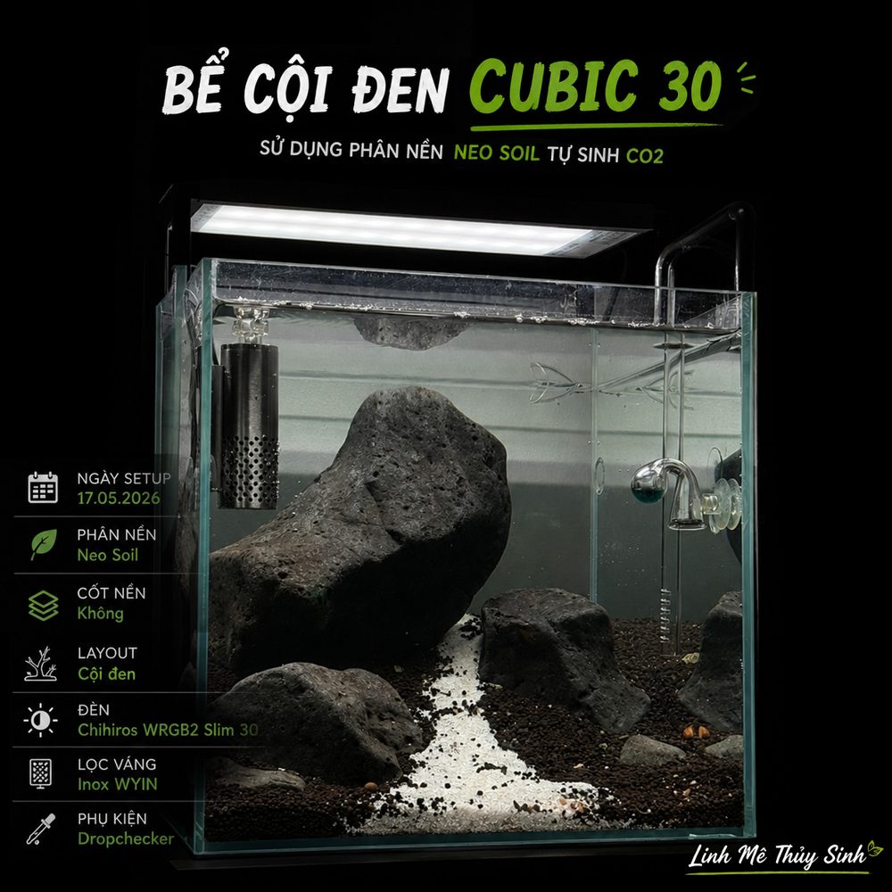 Bể cội đen Cubic 30 của Linh Mê Thuỷ Sinh