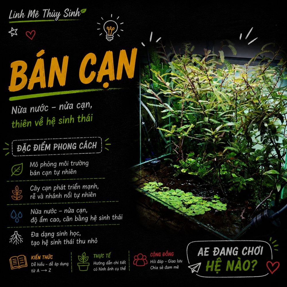 Phong cách bán cạn